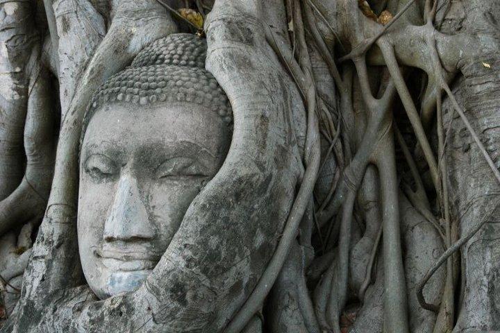 Bangkok: Private Ayutthaya and Bang Pa-In Summer Palace Tour