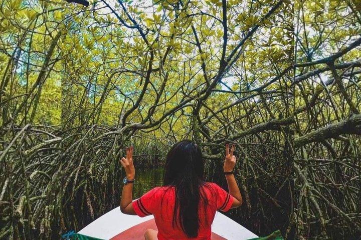 From Bentota/ Kalutara: Madu River Safari and Turtle Hatchery