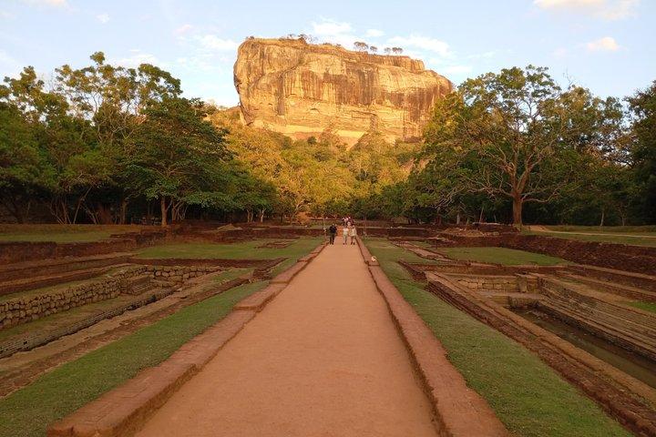 Sigiriya and Dambulla Private Day Trip with Safari from Colombo