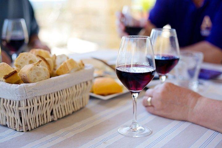 Tuscany Truffle Hunt: A Culinary Adventure