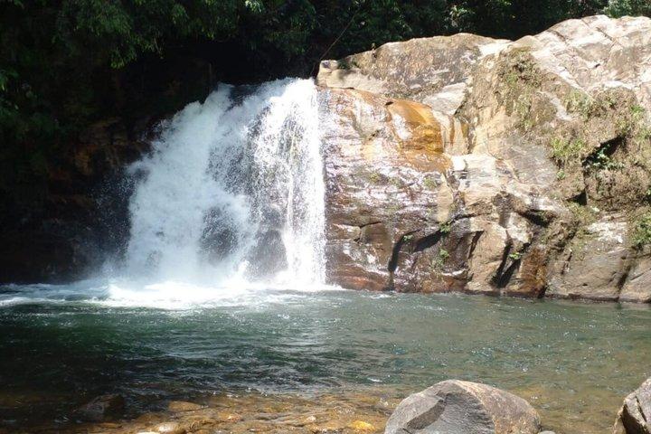 From Colombo/Kalutara/Bentota: Sinharaja Rain Forest Guided Tour