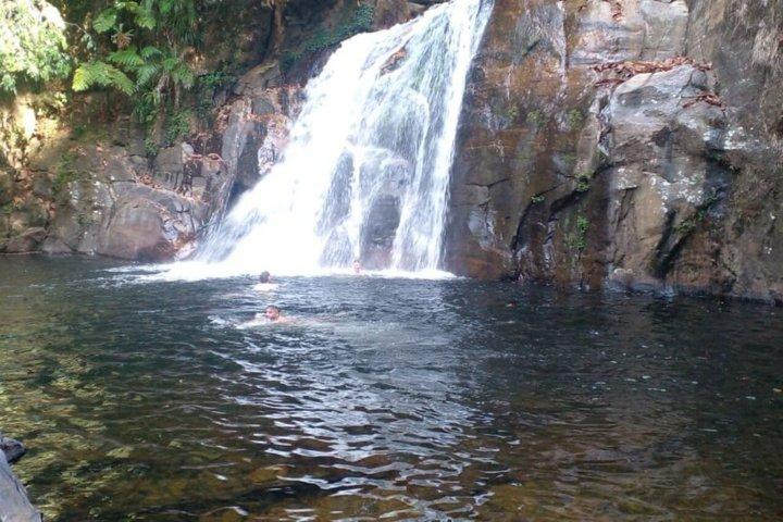 From Colombo/Kalutara/Bentota: Sinharaja Rain Forest Guided Tour
