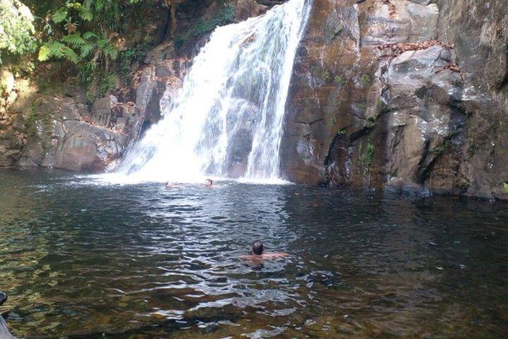 From Colombo/Kalutara/Bentota: Sinharaja Rain Forest Guided Tour