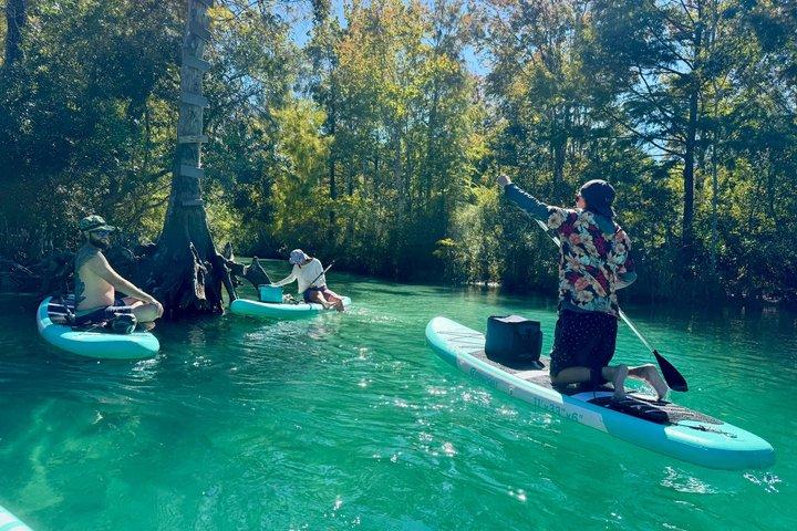 Unguided Paddleboard Adventure on the Weeki Wachee Springs