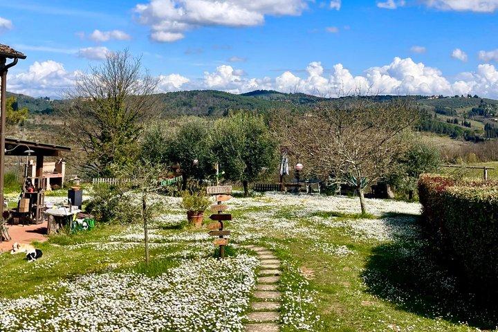 Truffle Hunting in Chianti, pasta class and lunch