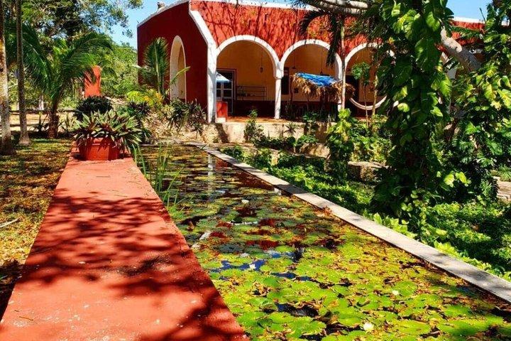 Merida Tour hacienda Mucuyche and Yunku with amazing cenotes