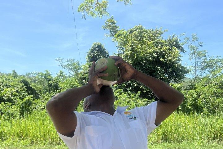 VIP Private Bob Marley Museum Experience– Montego Bay to Kingston