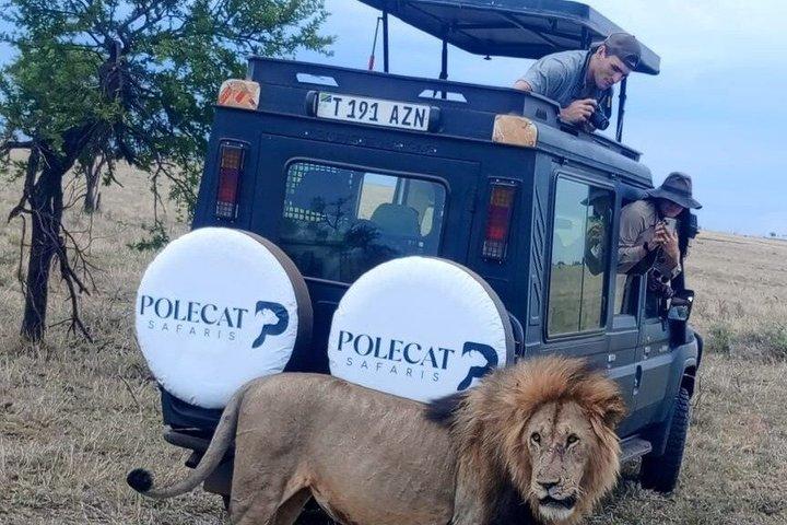 2-Day Private Luxury Safari: Tarangire & Ngorongoro Tanzania