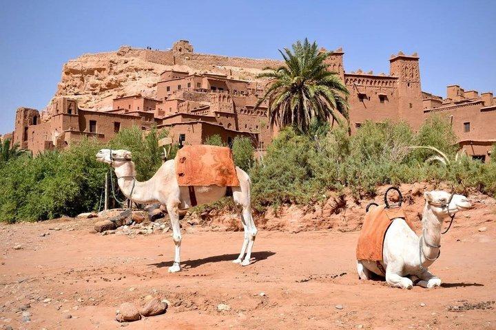 From Marrakech: Ait Benhaddou & Ouarzazate Hollywood Day Trip