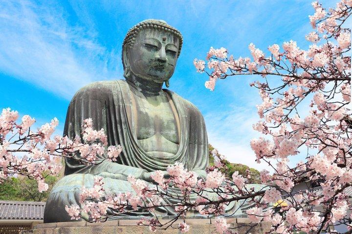 Kamakura & Enoshima / Yokohama Tour from Tokyo with Enoden Train