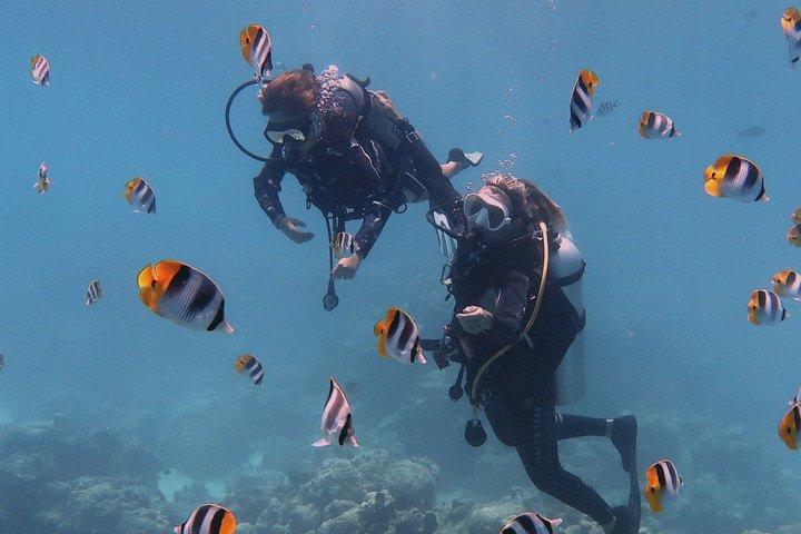 Rangiroa Discover Scuba Diving in French Polynesia