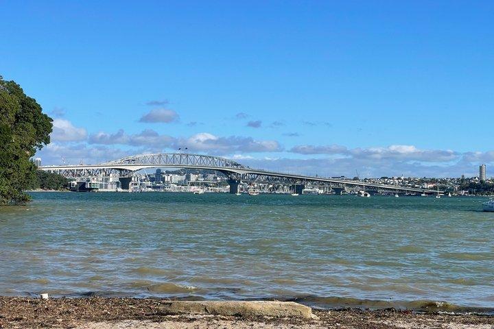 Auckland City Sightseeing & Experience - 6 to 8 Hours