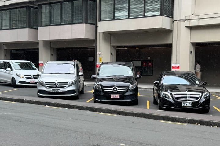 Auckland Airport to Hotel or Cruise Wharf - Private Transfers