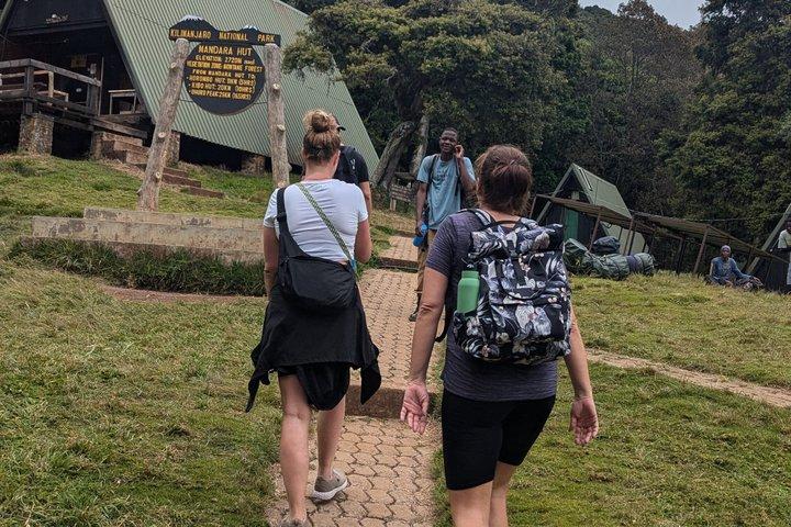 Kilimanjaro one day hike experience