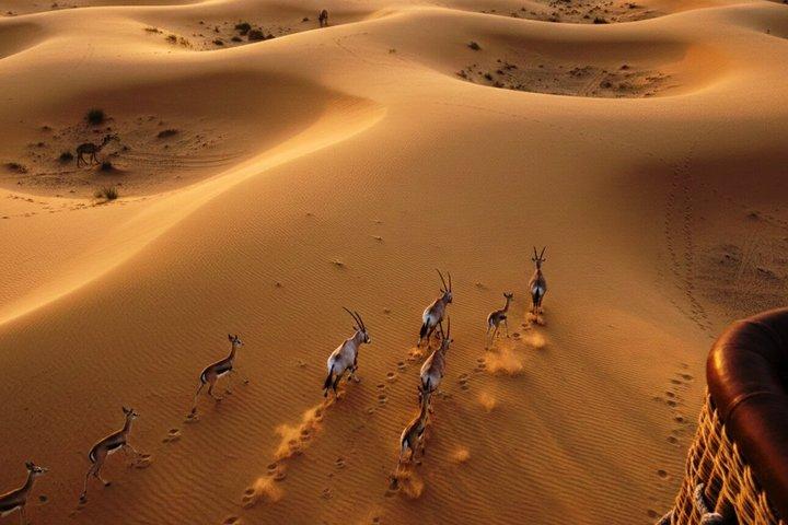 Hot air Balloon With Breakfast & Camel Ride