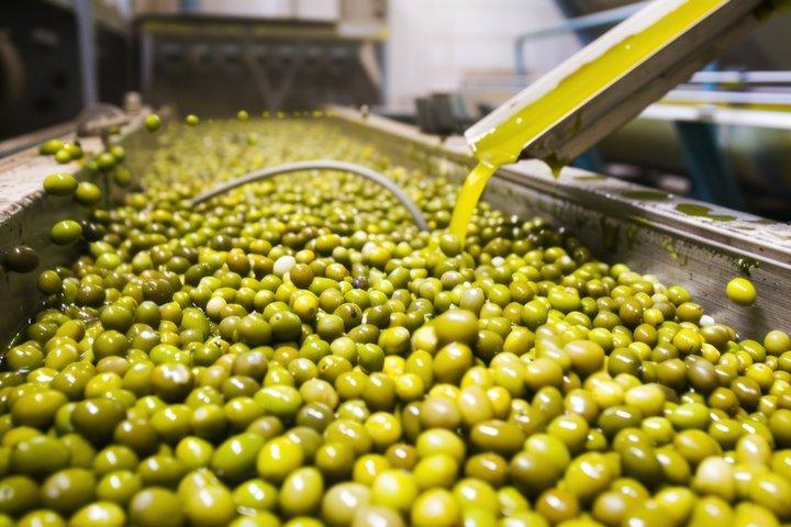 Corinth & Olive Oil Tasting Private Tour from Athens
