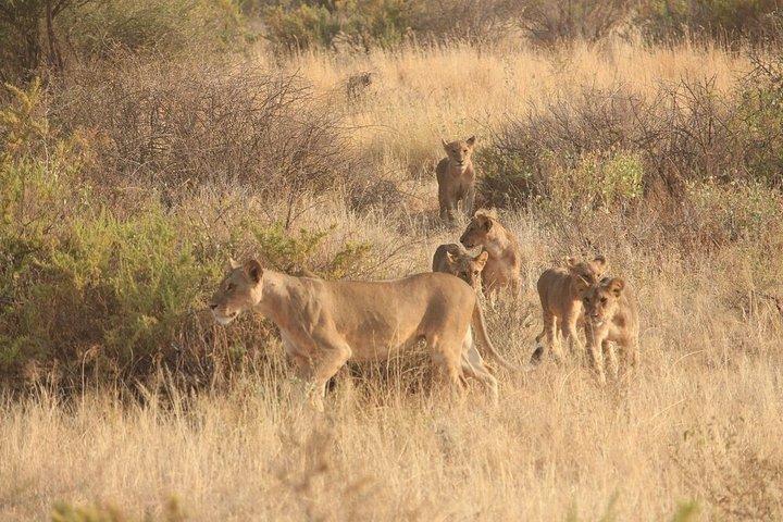 14-Day Combined Kenya And Tanzania Relaxed Luxury safari