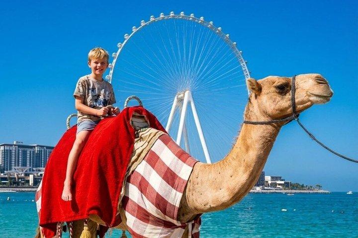 Camel Ride Along JBR Beach with Views of Dubai