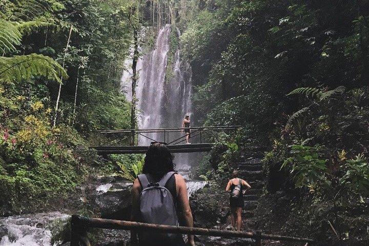 Munduk Highlights: North Bali Waterfall Customized Tour