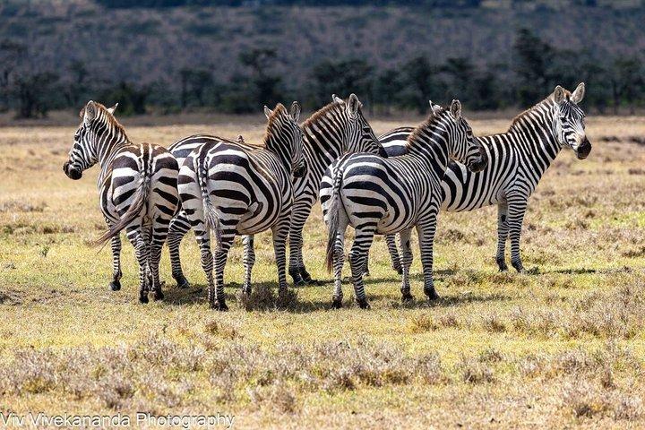 14 Day Kenya and Tanzania Safari Adventure