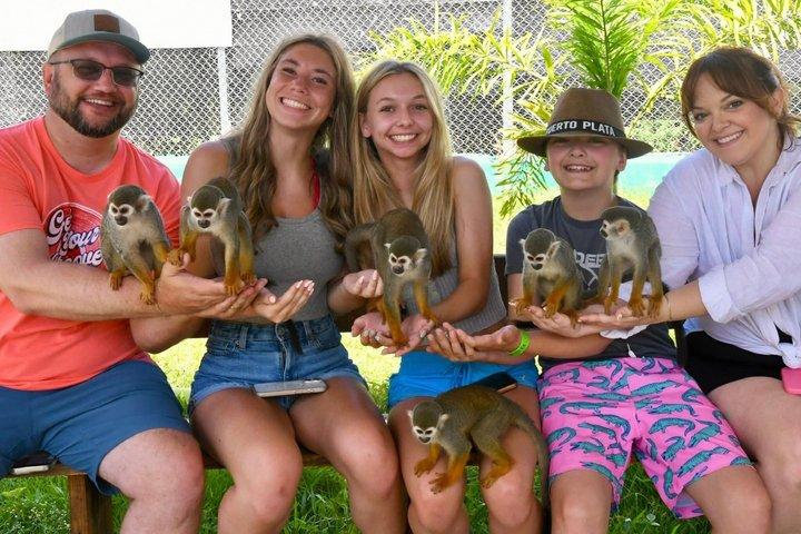 Damajagua Waterfalls Adventure and Monkey Experience