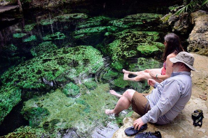 The Best Cenotes in Playa del Carmen Private Tour