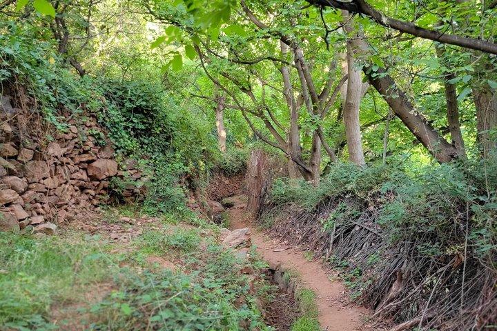 Marrakech: Atlas mountains, Imlil valleys, waterfalls and lunch