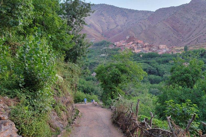 Marrakech: Atlas mountains, Imlil valleys, waterfalls and lunch