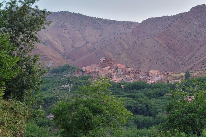 Marrakech: Atlas mountains, Imlil valleys, waterfalls and lunch