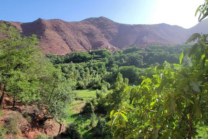 Marrakech: Atlas mountains, Imlil valleys, waterfalls and lunch