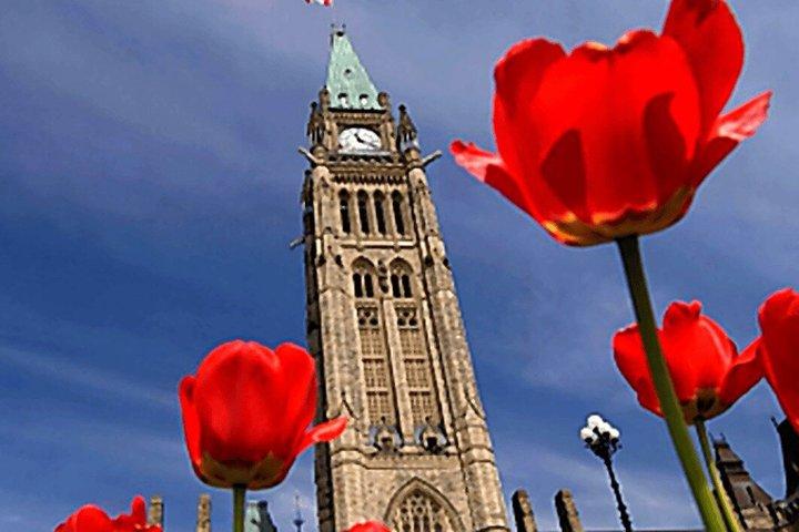 Ottawa Tours Parliament Hill and River Parkway Tour 1 hour 30 min