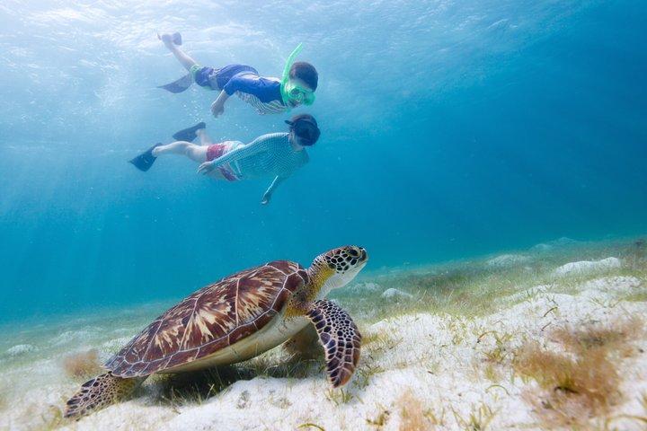 Daymaniyat Islands Snorkeling from Muscat – Marine Reserve