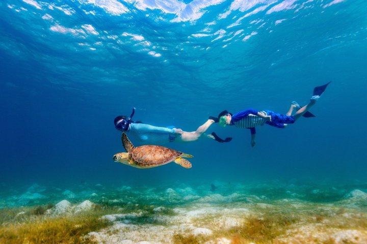Daymaniyat Islands Snorkeling from Muscat – Marine Reserve
