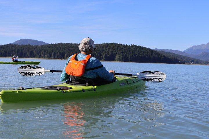 Juneau Small Group Sea Kayaking with Mendenhall Glacier Views