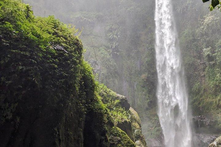 Best & Top of Arusha; Coffee Tour and Waterfall Hike.