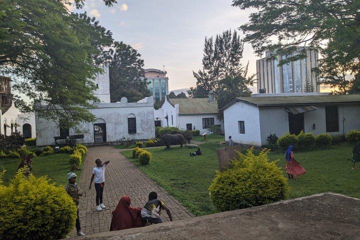 Best & Top of Arusha; Coffee Tour and Waterfall Hike.