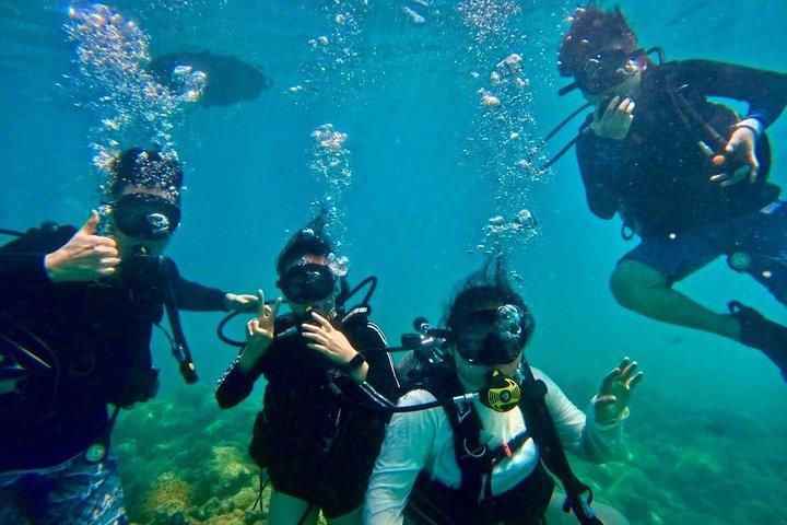 Voted Honolulu's #1 Beginner Scuba Diving + Free Videos Tour