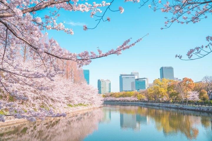 Osaka Castle Historical Private Tour