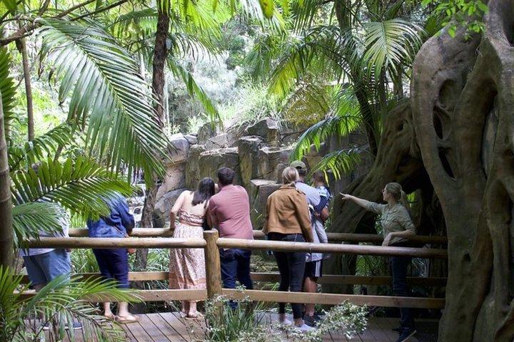 Gold Coast: HOHO - Tamborine Rainforest Skywalk + Glow Worm Caves