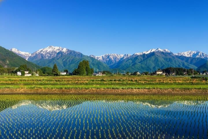 From Tokyo: Private Day Trip to Snow Monkey & Zenkoji