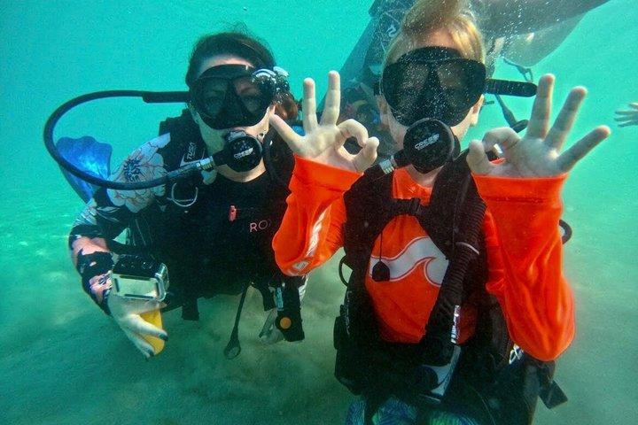 Beginner Scuba Diving with Turtles and Free Videos, San Juan
