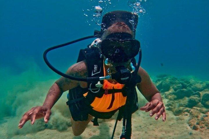 Beginner Scuba Diving with Turtles and Free Videos, San Juan