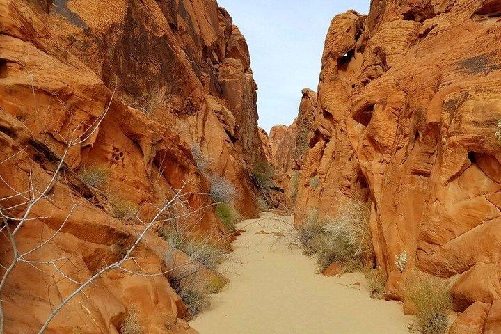 Guided Day Tour of Valley of Fire State Park in Las Vegas