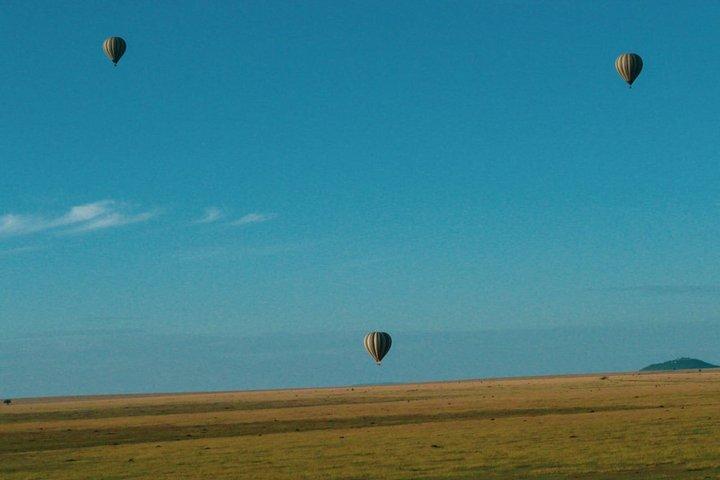 5 Day Kenya Safari Amboseli, Nakuru and Masai Mara Adventure