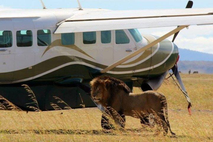 5 Day Samburu and Masai Mara Flying Safari