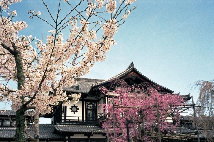 Nara Todaiji Kasuga Taisha Private Full Day Tour From Kyoto