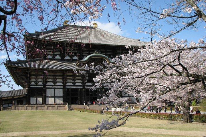 Nara Todaiji Kasuga Taisha Private Full Day Tour From Kyoto