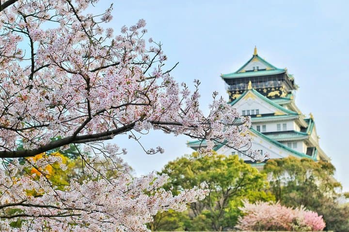 Osaka Castle & Samurai Tour: Entry Included Option