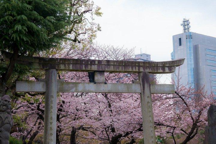 Tokyo Asakusa, Sensoji Temple and Skytree Walking Tour