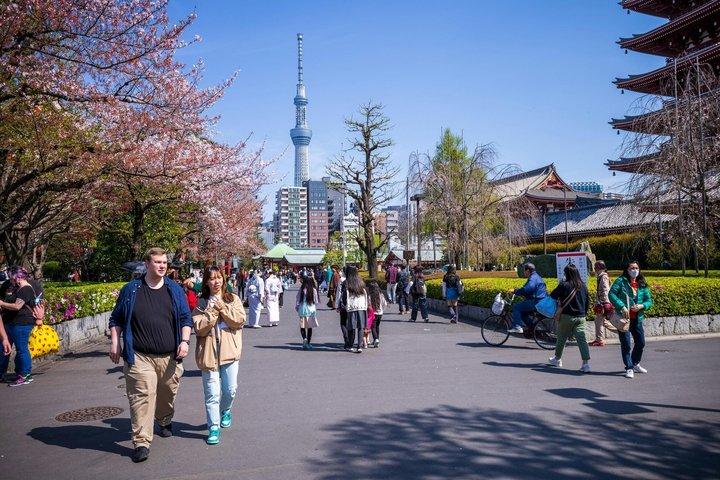 Tokyo Asakusa, Sensoji Temple and Skytree Walking Tour